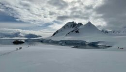 Antarctica in early season IMG_0704