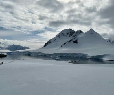 Antarctica in early season IMG_0704