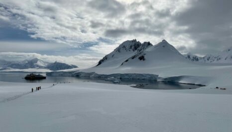 Antarctica in early season IMG_0704