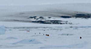 Visitors walking up the trail to the Emperor penguin colony on Snow Hill Island, Antarctica. A few penguins stop along the path to observe humans.