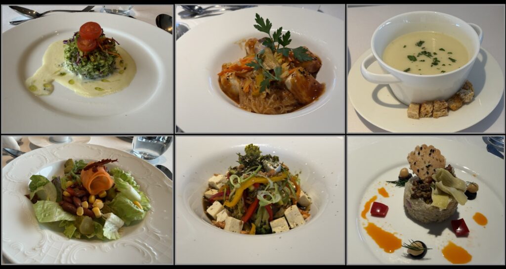 Every meal on the Antarctica Snowhill and Peninsula expedition showcased a new menu from around the globe with ample vegan choices.