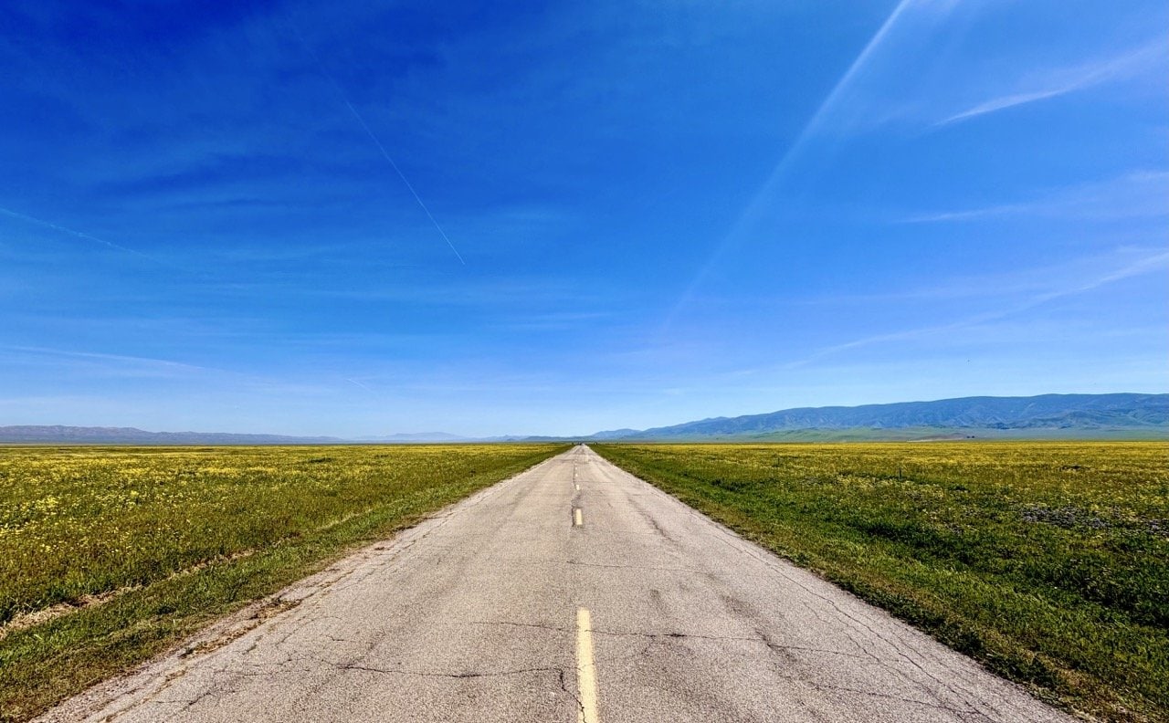 Straight road through Carrizo Plain National Monument flanked by yellow wildflowers stretching to the horizon under a deep blue sky