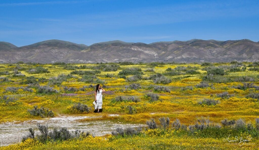 Jyoti standing in a vast field of yellow wildflowers at Carrizo Plain National Monument with the Temblor Range mountains behind