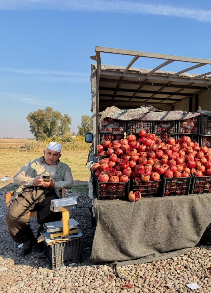 A Kurdish vendor selling pomegranates from a roadside stall on the Nineveh Plains, northern Iraq