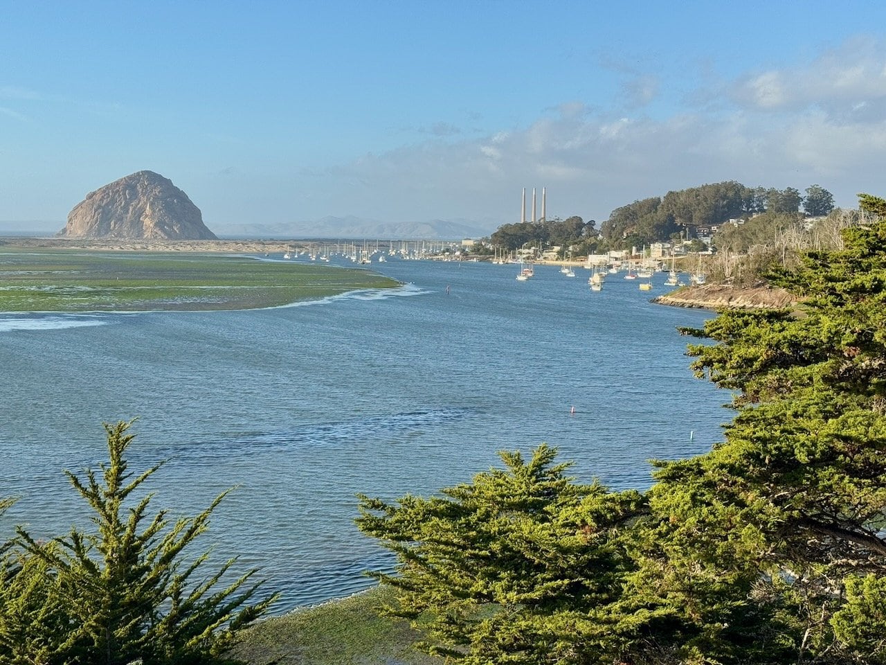 View of Morro Bay from the natural history museum viewpoint with Morro Rock visible on the left the estuary sailboats and the town beyond cypress trees