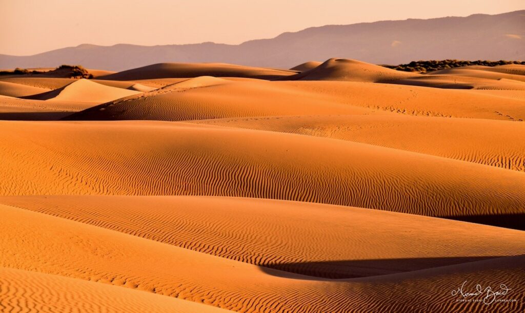 Orange sand dunes at Oceano with dramatic curved shadow lines separating lit and dark dune faces mountains visible in the hazy background