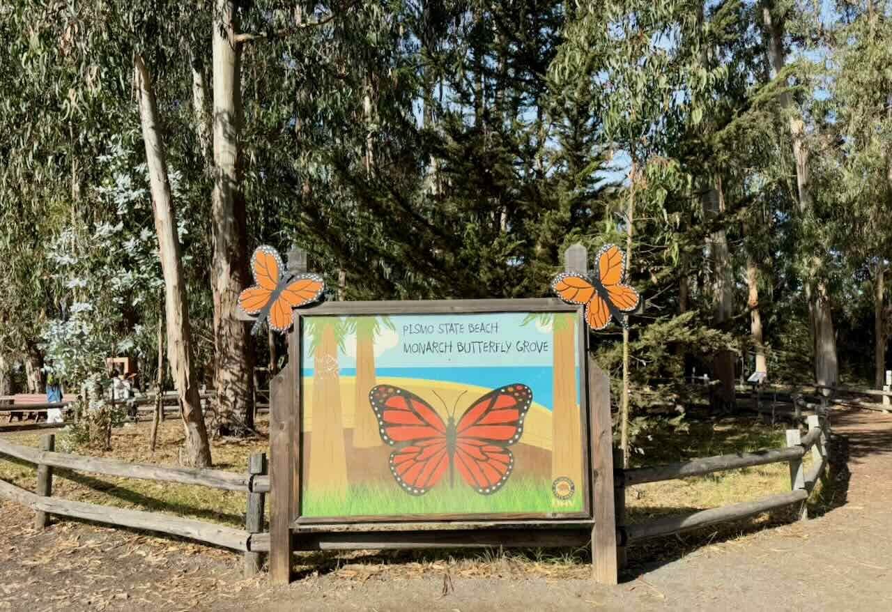 Entrance sign for Pismo State Beach Monarch Butterfly Grove with painted butterfly decorations in a eucalyptus grove