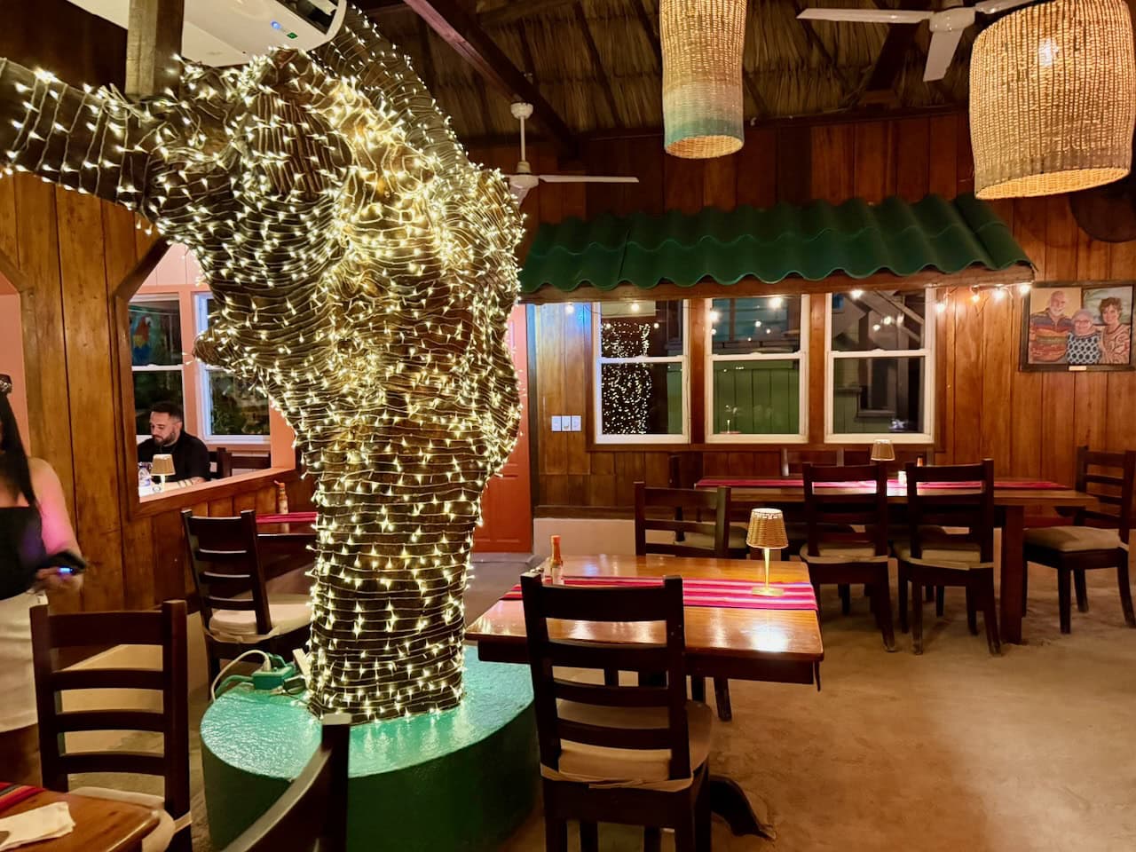 Fairy-light wrapped tree trunk inside Elvi's Kitchen restaurant, San Pedro, Belize