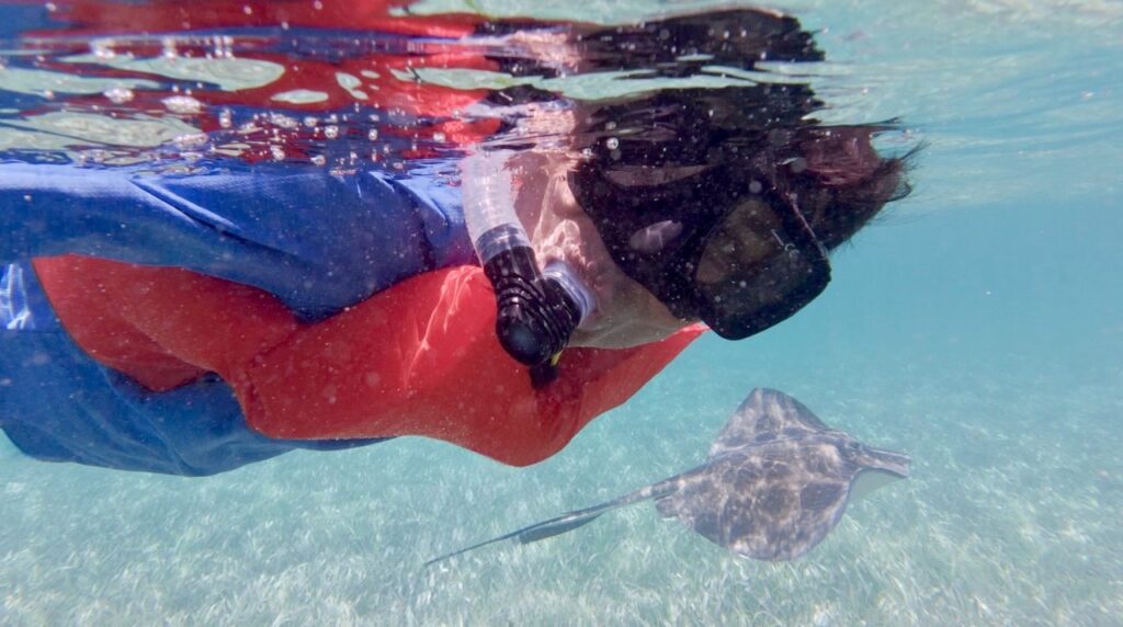 Nirmal snorkeling face-down in clear turquoise water with a stingray gliding just below on the sandy seagrass floor at San Pedro, Belize