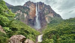 Angel Falls cascading down the Auyan Tepui cliff face, surrounded by lush rainforest in Venezuela