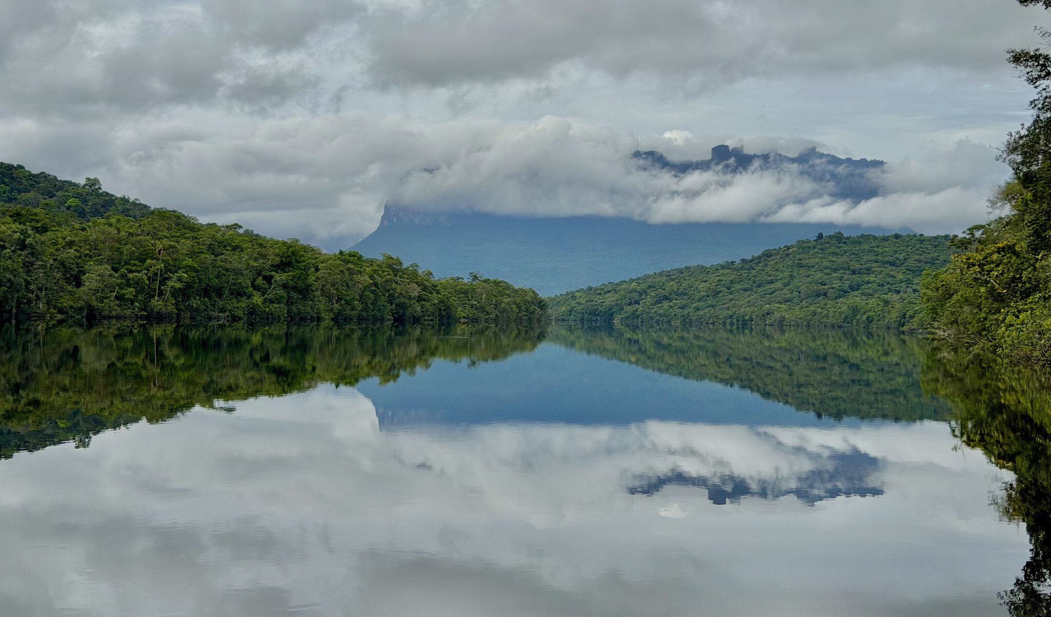 Perfect mirror reflection of Auyan Tepui and lush jungle in calm dark waters of Rio Carrao Venezuela