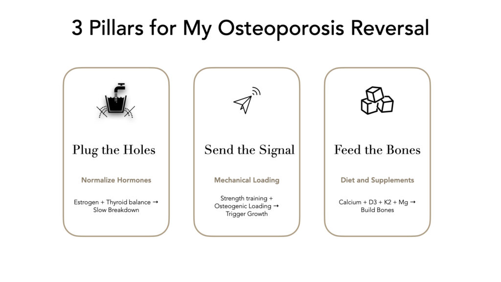 Pillars of Osteoporosis Reversal - (1) Plug the Holes by normalizing hormones (2) Send the Signal with Mechanical loading (3) Feed the Bones with diet and supplements
