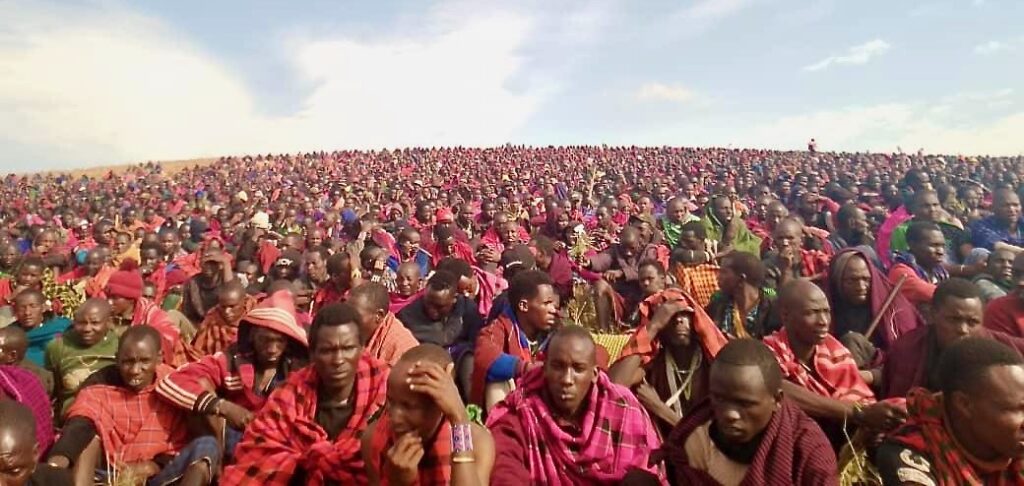 Thousands of Maasai gather on a hillside in Ngorongoro during the 2024 protest against voter deregistration