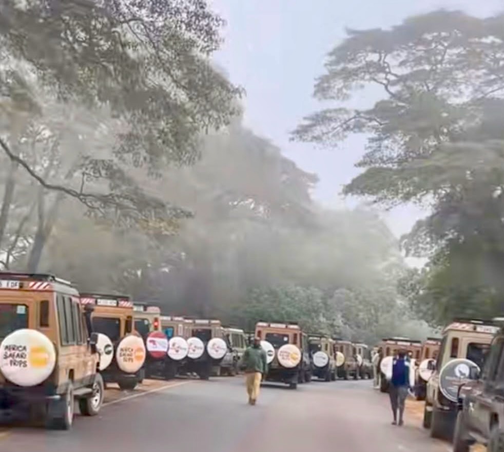 Safari vehicles lined up along a tree-lined road, waiting for the Ngorongoro Crater gate to open
