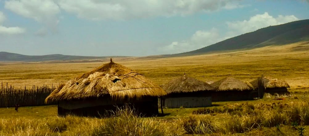 A traditional thatched Maasai boma on dry grassland in Ngorongoro, enclosed by a wooden fence.