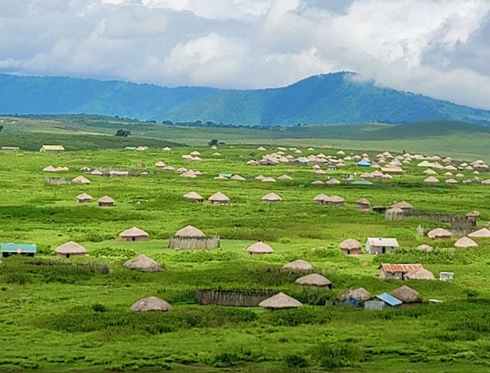 A wide view of Tubulu's village in Ngorongoro, with dozens of traditional homes scattered across green highlands.